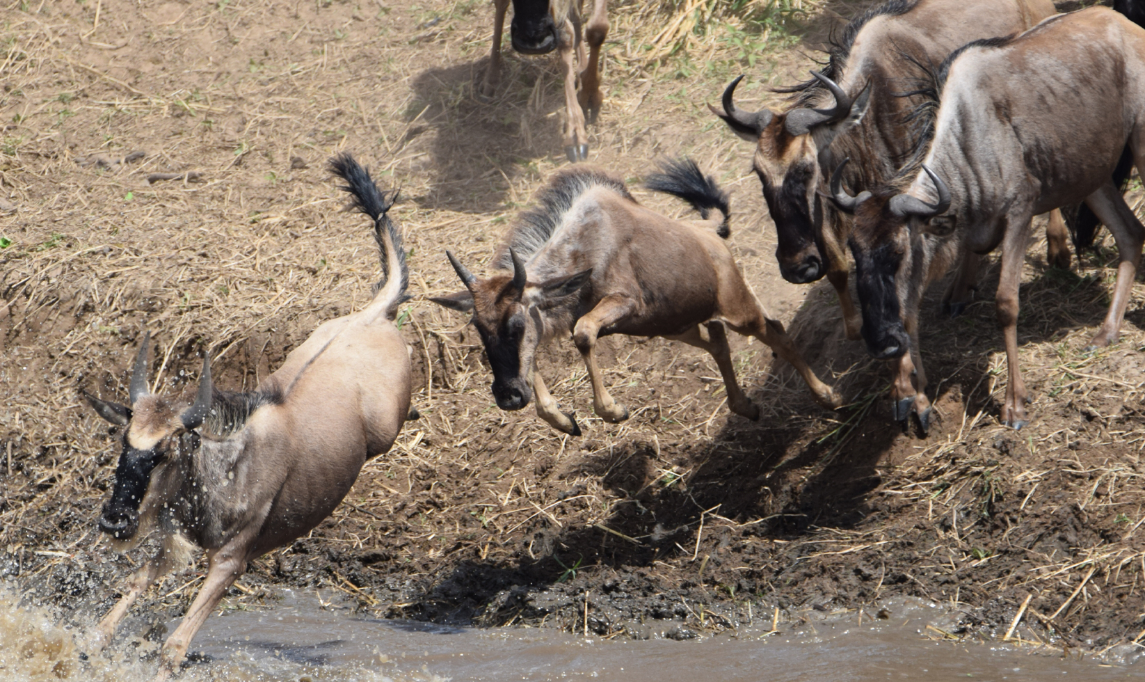 Extreme-expedition-Safari-Masika-8-Days-Ultimate-Tour