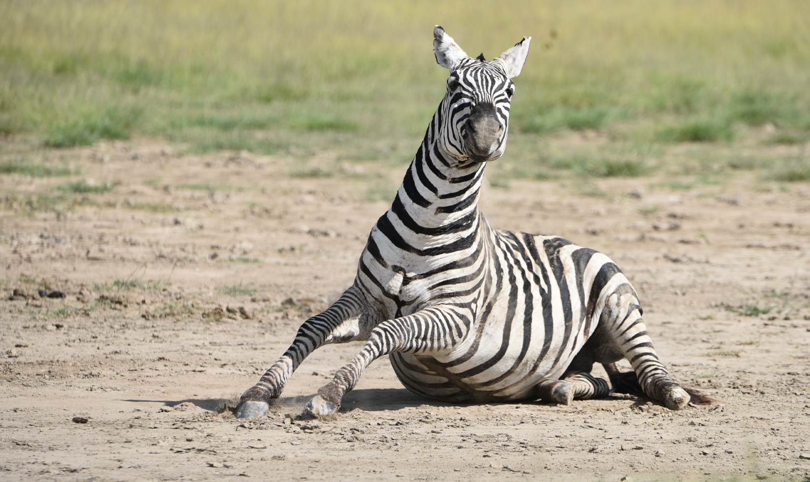 extreme-banner-5-days-tanzania-wildlife-safari1
