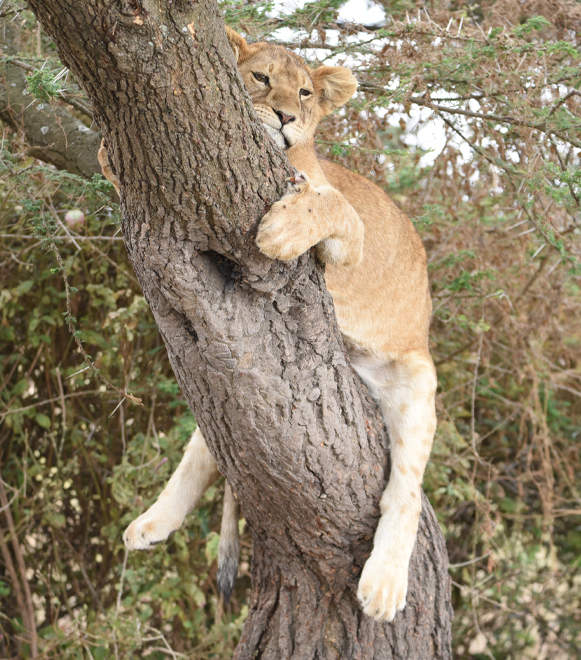 lake-manyara-national-park-extreme-expedition-travel