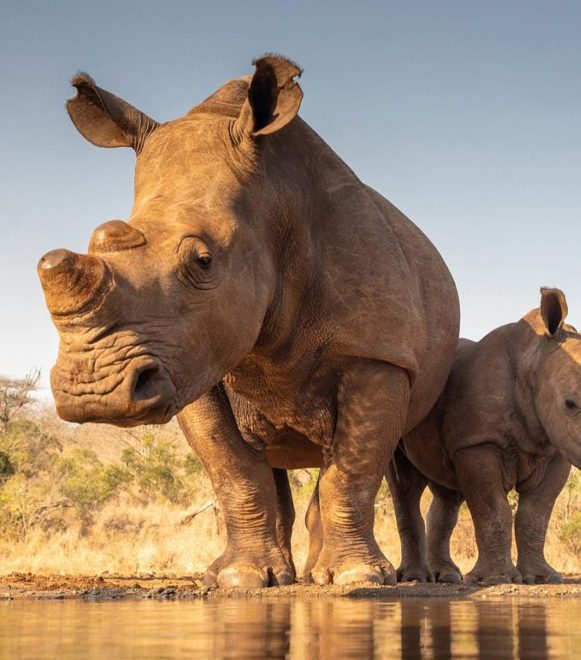 mkomazi-national-park-extreme-expedition-travel