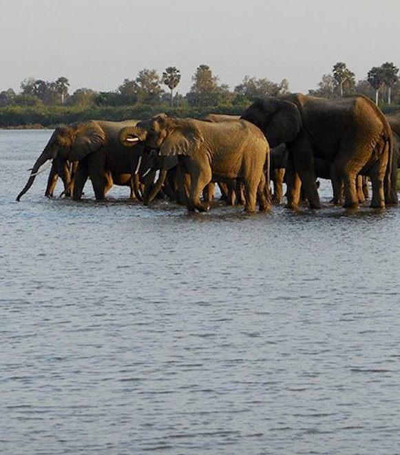 nyerere-national-park-extreme-expedition-travel